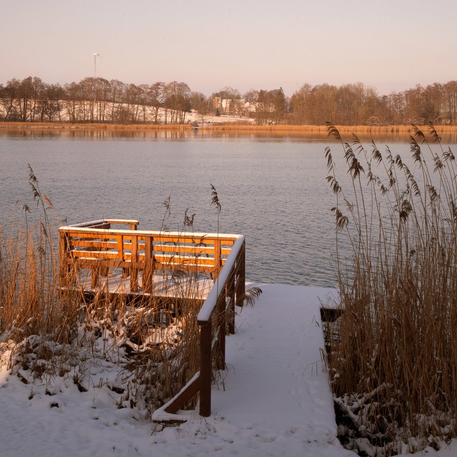 Steg mit See im Winter