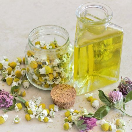 Aufguss oder Massageöl: in unserem Wellnessbereich finden verschiedene Kräuter Anwendung