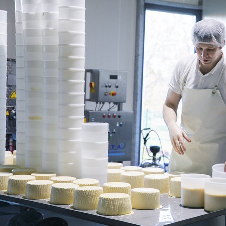 Käse aus der Käsemanufaktur Bollewick