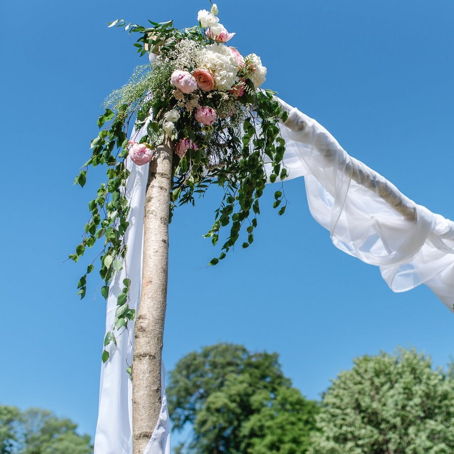 Traubogen mit Himmel
