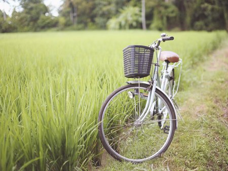Fahrrad am Feldrand
