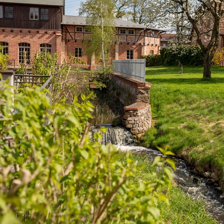 Bach auf dem Gut Ulrichshusen in Mecklenburg